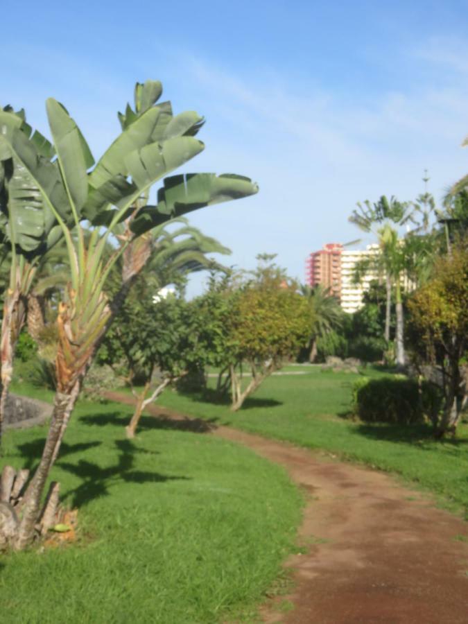 Centrico Loft En El Puerto De La Cruz Con Wifi Y Cerca De La Playa Apartment ภายนอก รูปภาพ